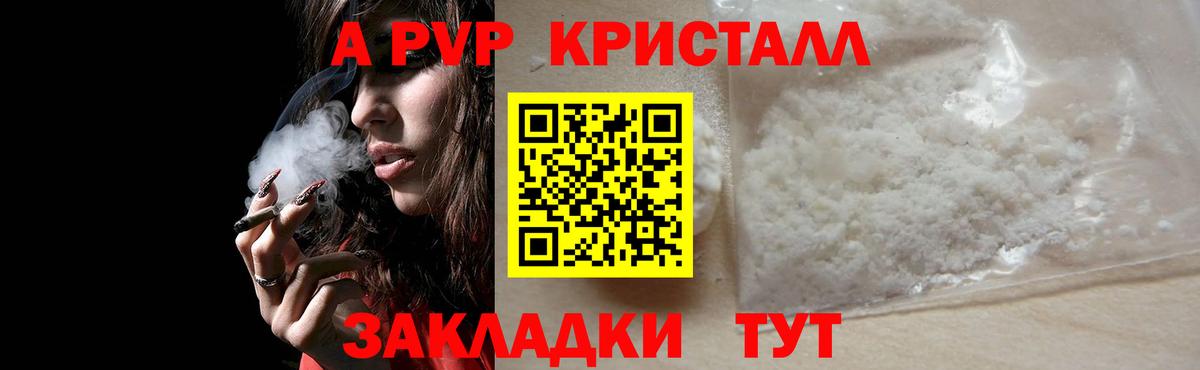A PVP СК Щёлково
