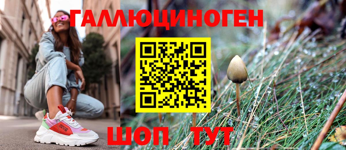Галлюциногенные грибы Psilocybine cubensis Щёлково